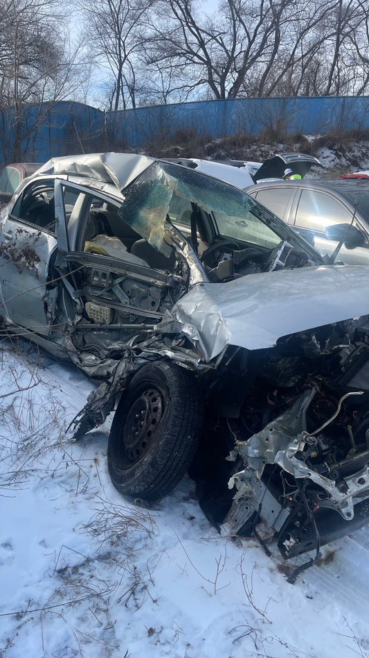 Healing with the Mind Body and Soul: Putting My Words To Work